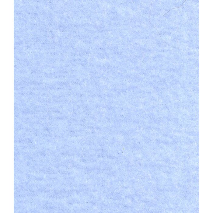 Hundehalstuch mit Namen hell-blau