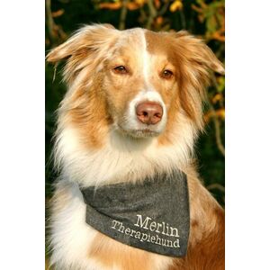 Hundehalstuch mit Namen Grn